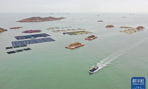 海鲜全家福怎么做好吃-海鲜全家福水饺都是什么馅、海鲜全家福200克包装 -海鲜全家福的主要营养成分网
