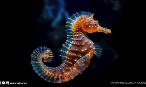 海鲜全家福200克包装-海鲜全家福水饺都是什么馅、海鲜全家福200克包装 -海鲜全家福的主要营养成分网