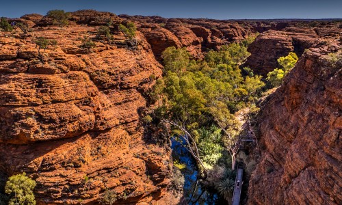 海鲜全家福一份多少钱-海鲜全家福水饺都是什么馅、海鲜全家福200克包装 -海鲜全家福的主要营养成分网